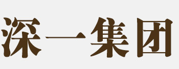 提供专业的网络公司